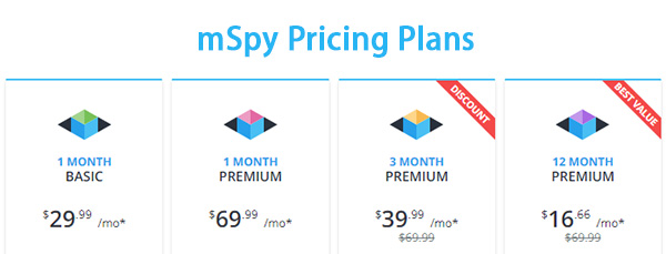 mspy pricing 1